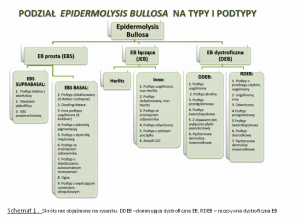 Podział typów EB